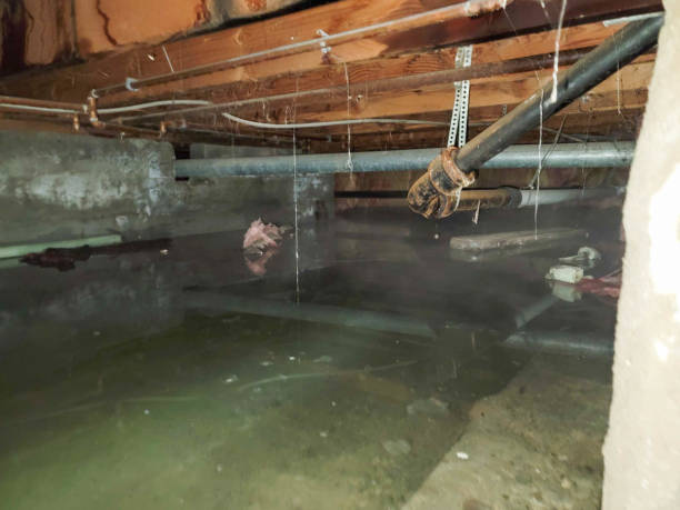  New Madison, OH Water damage restoration Pros