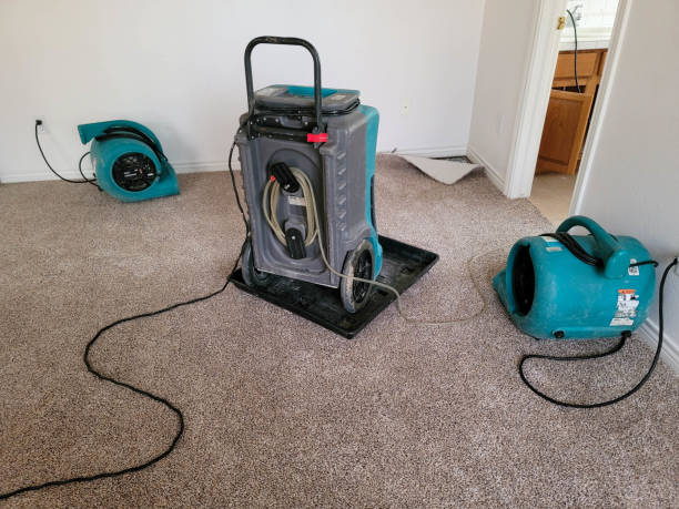 Best Flood restoration services  in New Madison, OH
