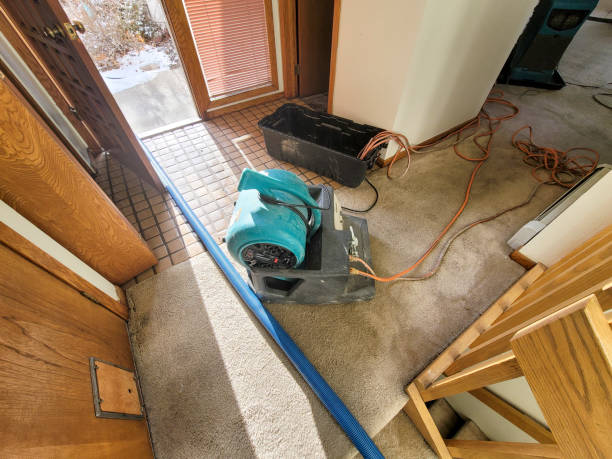 Best Basement water damage restoration  in New Madison, OH