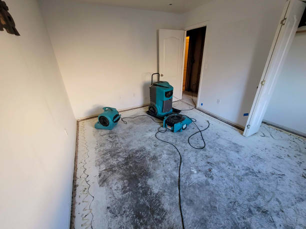 Best Local water damage restoration  in New Madison, OH