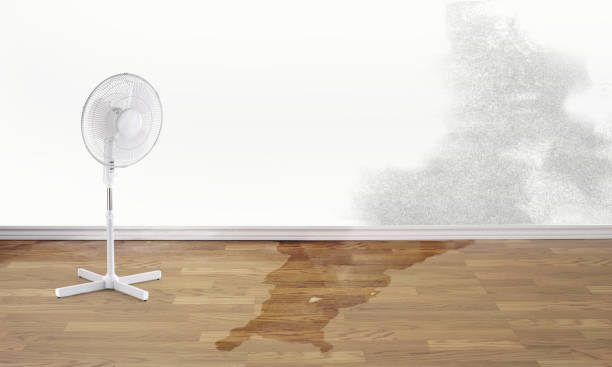 Best Residential water damage restoration  in New Madison, OH