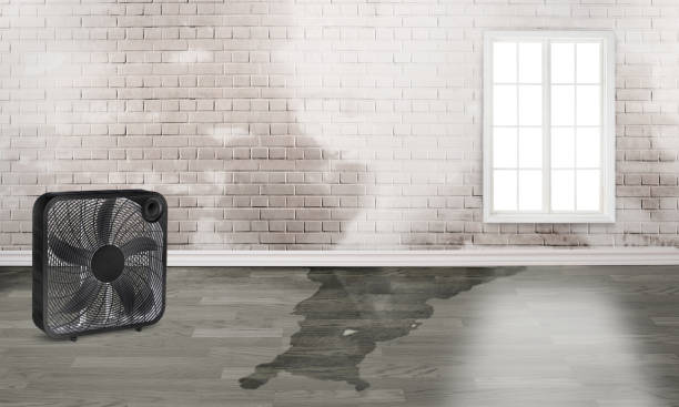 Best Fire Damage Restoration  in New Madison, OH