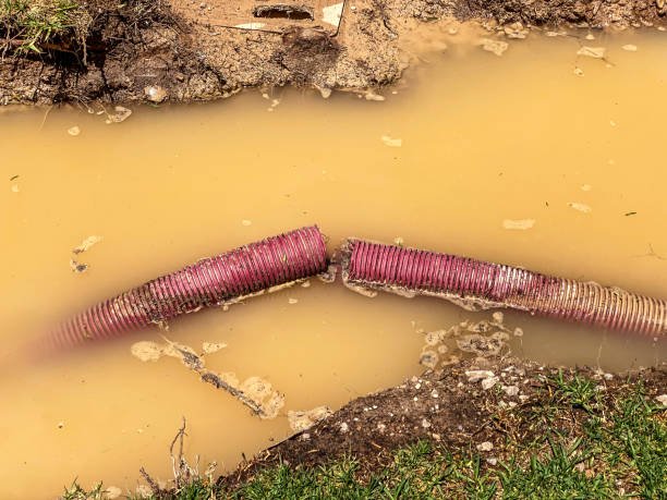 Best Flood damage cleanup  in New Madison, OH