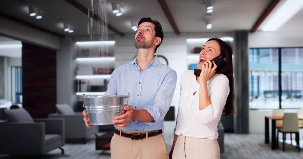 Best Professional water damage repair  in New Madison, OH
