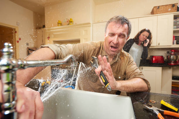 Best Water damage contractors near me  in New Madison, OH